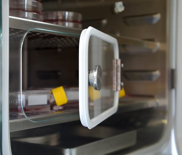 Modelo CBF170 | Incubadora de CO₂ con Esterilización por Aire Caliente y Regulación de la Humedad - Imagen 6