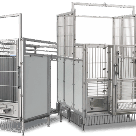 Sistema de Alojamiento para Caninos Allentown