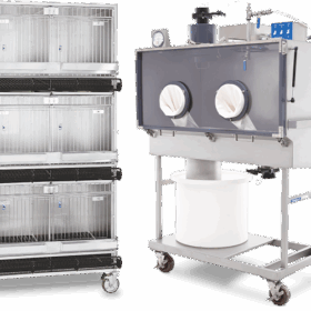 Sistema de Alojamiento para Aves Allentown