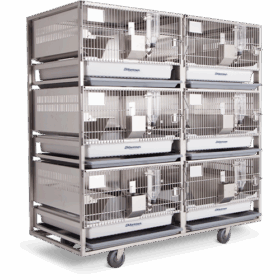 Sistema de Alojamiento para Conejos Allentown