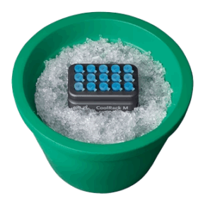 Bandejas de Hielo Qsonica